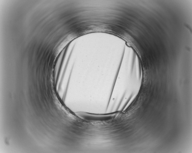 X0000102010906200808151249