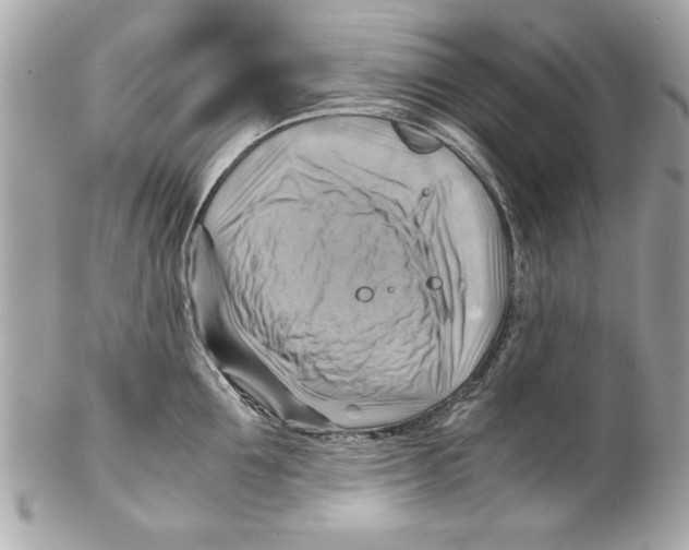 X0000102010907200808151249