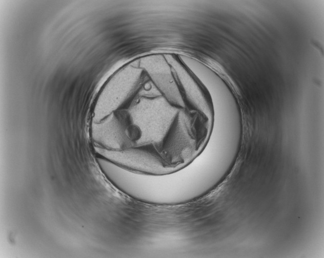 X0000102010908200808151249