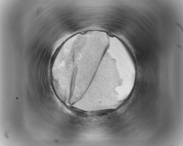 X0000102010910200808151249