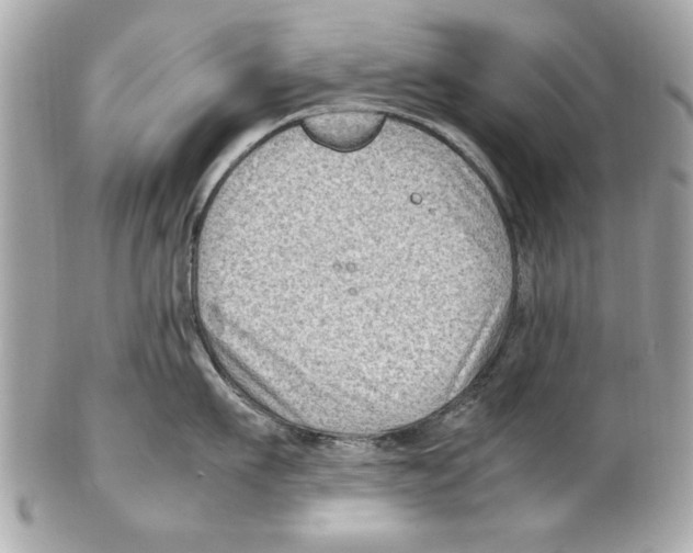 X0000102010911200808151249