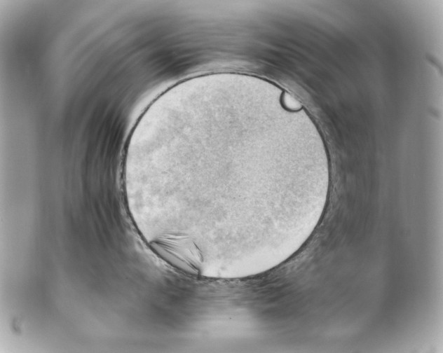 X0000102010912200808151249