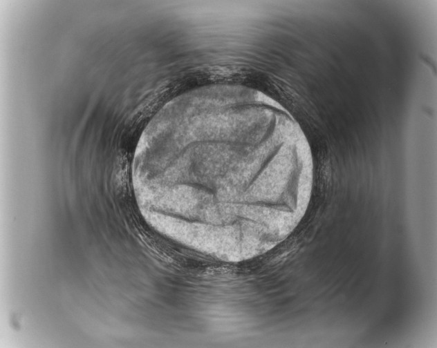 X0000102010914200808151248