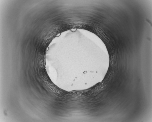 X0000102010916200808151248