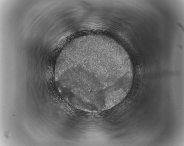 X0000102010918200808151248