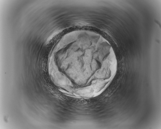 X0000102010919200808151248