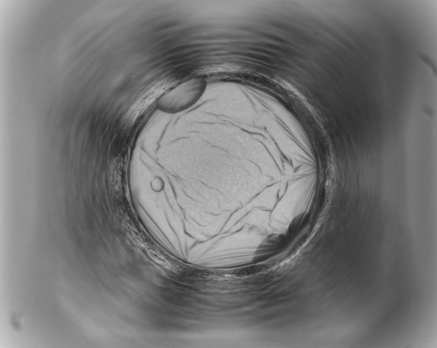 X0000102010921200808151248