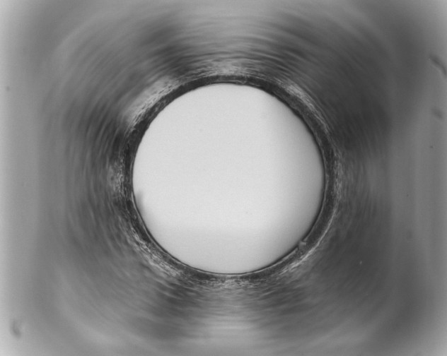 X0000102010922200808151248