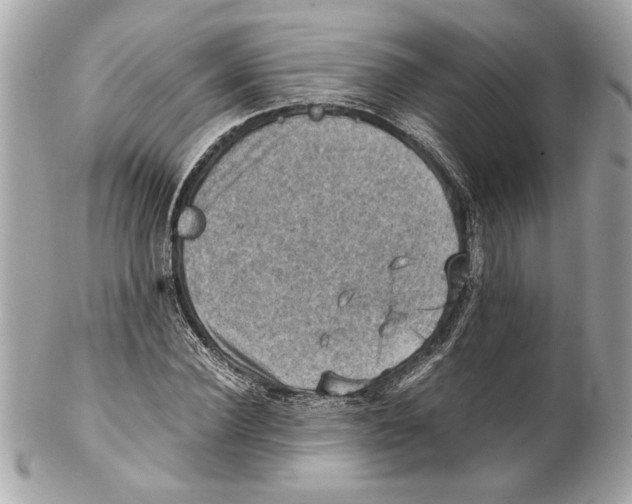 X0000102010924200808151248