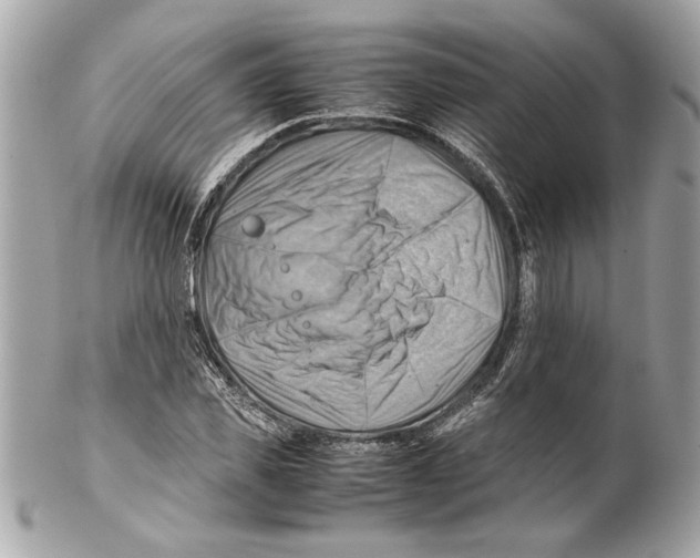 X0000102010925200808151248