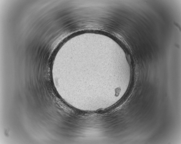 X0000102010926200808151248