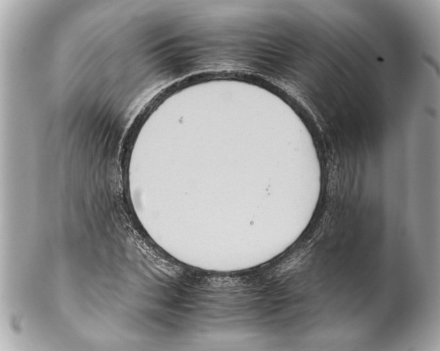 X0000102010927200808151248