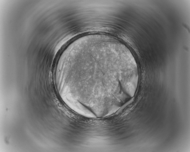 X0000102010928200808151248