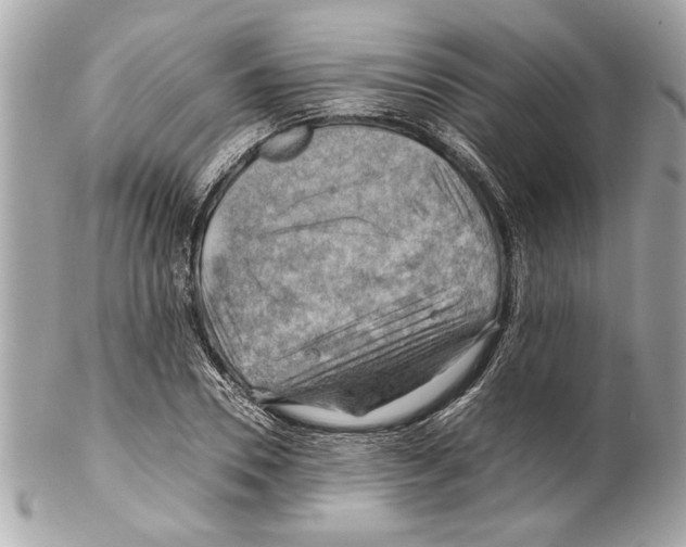 X0000102010930200808151248