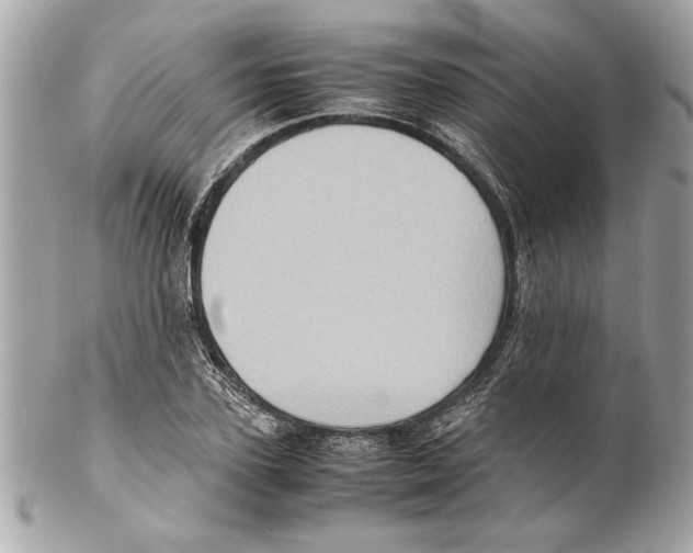 X0000102010931200808151248