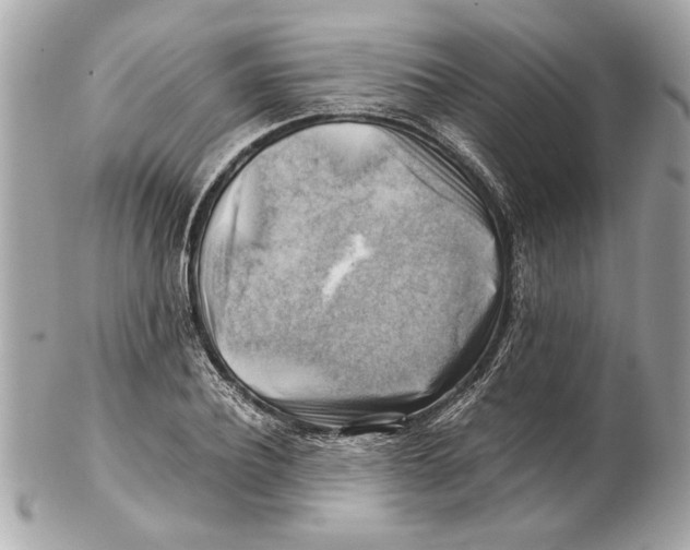 X0000102010932200808151248