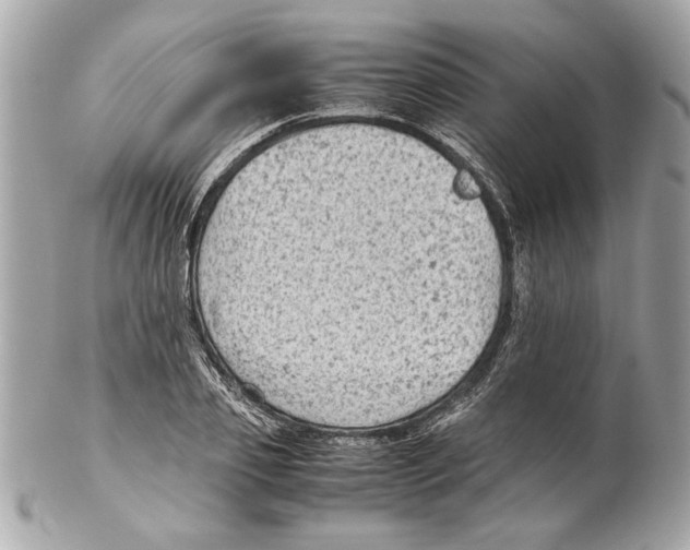 X0000102010933200808151248