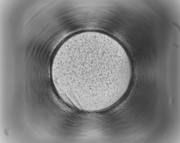 X0000102010934200808151248