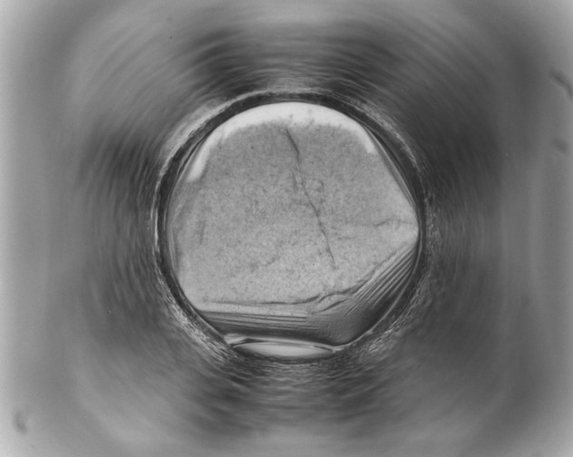 X0000102010935200808151248