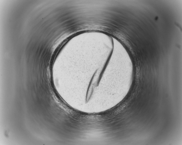 X0000102010936200808151248