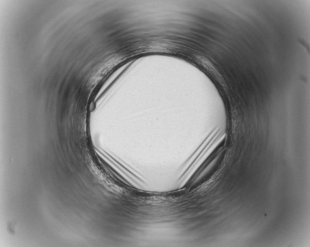 X0000102010938200808151248