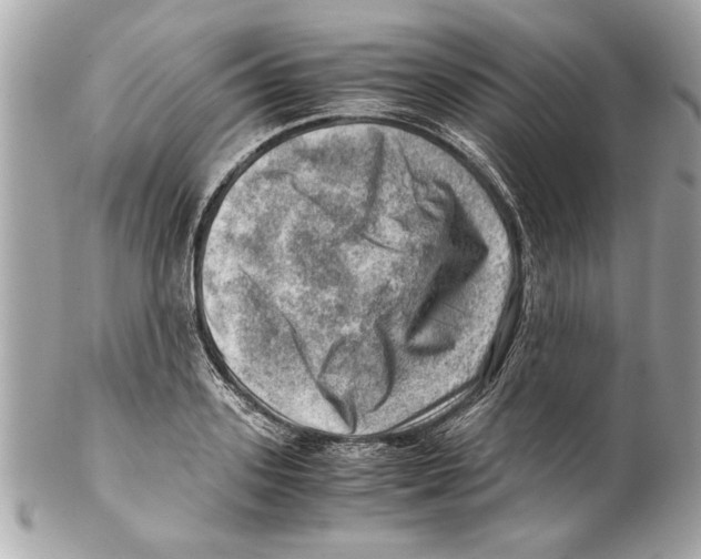 X0000102010939200808151248