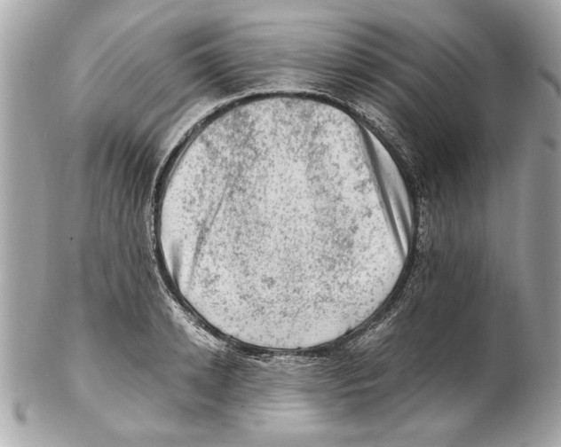 X0000102010942200808151248