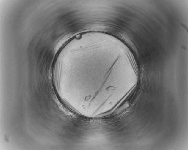 X0000102010944200808151248