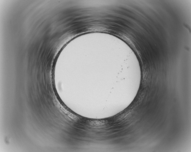 X0000102010947200808151248