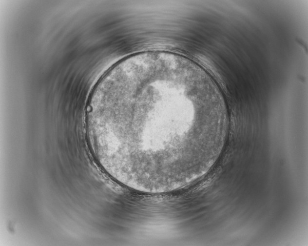 X0000102010948200808151248