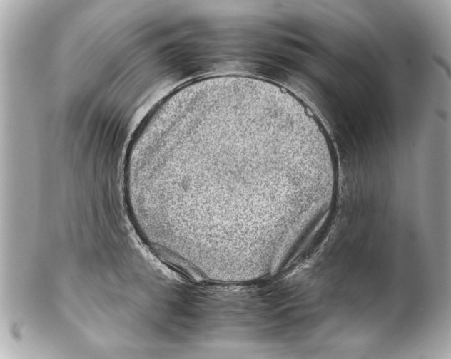 X0000102010949200808151249