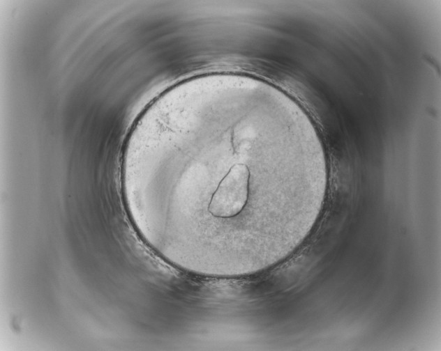 X0000102010950200808151249