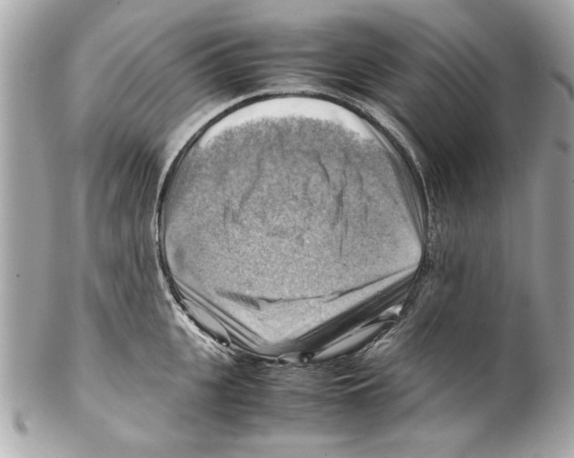 X0000102010951200808151249