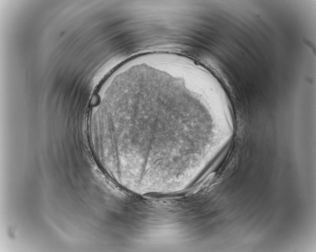 X0000102010952200808151249