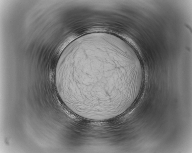 X0000102010953200808151249