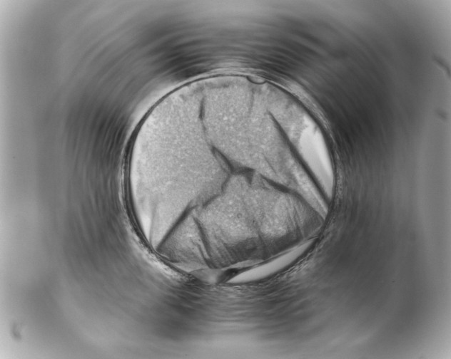 X0000102010955200808151249