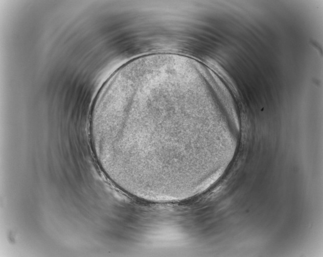 X0000102010956200808151249