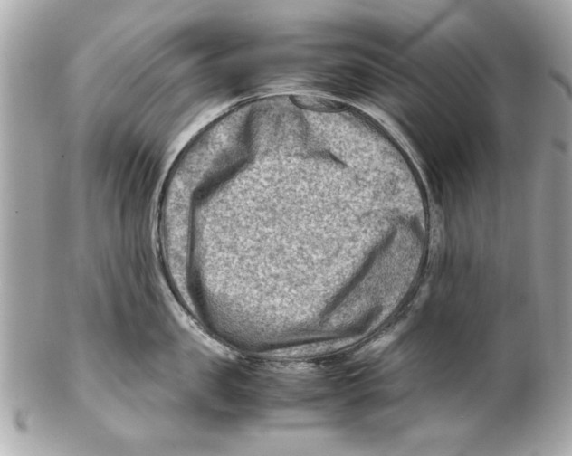 X0000102010957200808151249