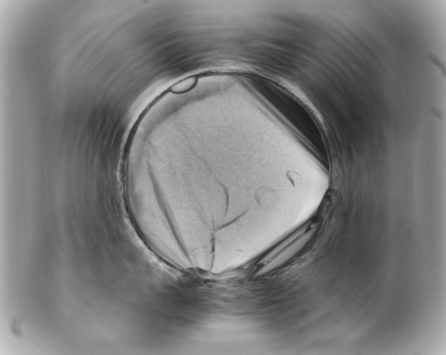 X0000102010959200808151249