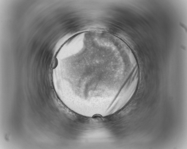 X0000102010960200808151249