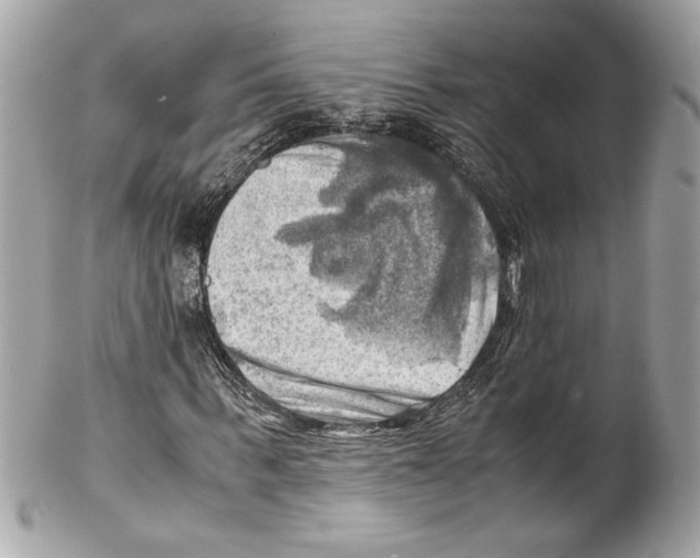 X0000102010963200808151248