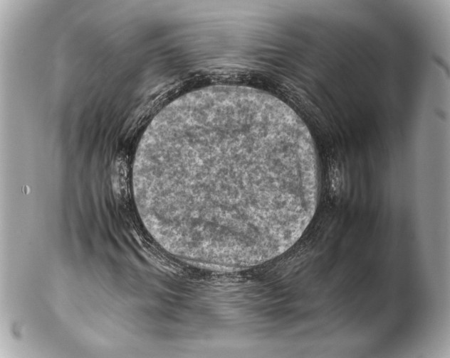 X0000102010964200808151248