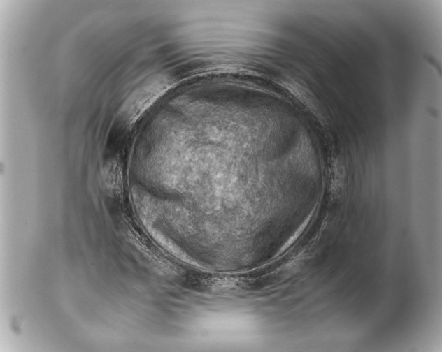 X0000102010969200808151248