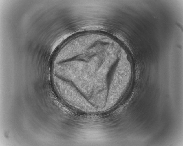 X0000102010973200808151248