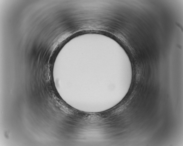 X0000102010974200808151248