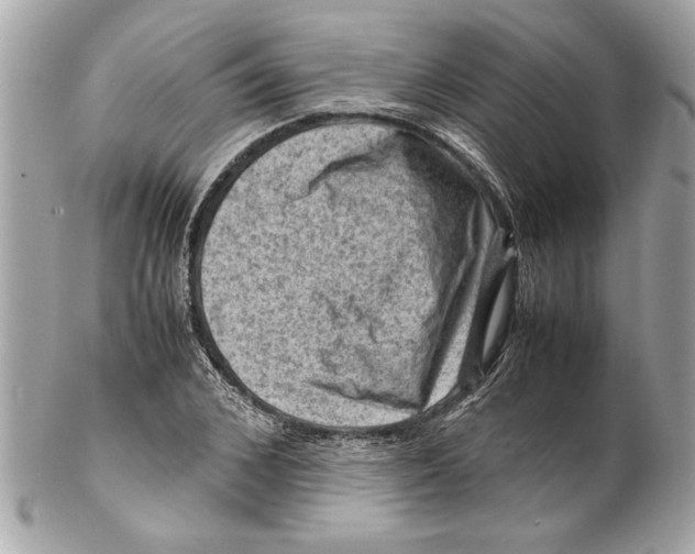 X0000102010976200808151248