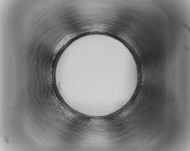 X0000102010978200808151248