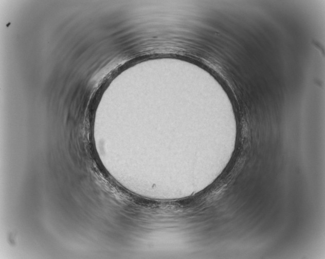 X0000102010979200808151248