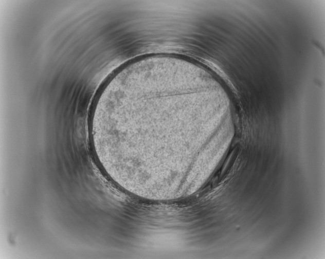 X0000102010980200808151248