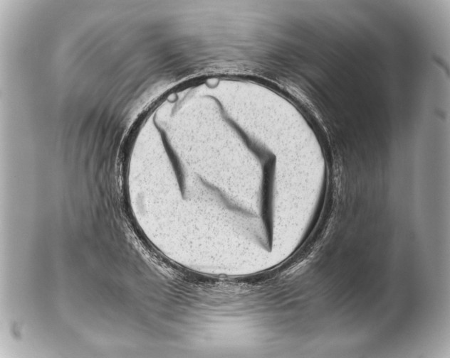 X0000102010981200808151248